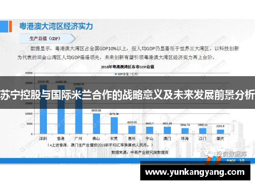 苏宁控股与国际米兰合作的战略意义及未来发展前景分析